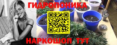 мдма Гатчина