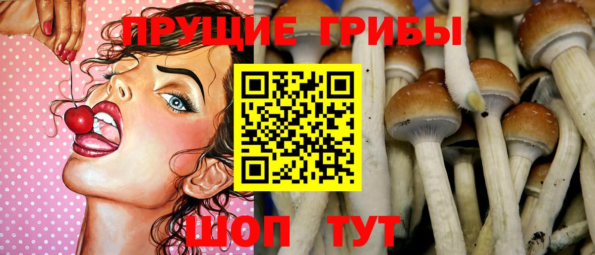Псилоцибиновые грибы Psilocybe  Вход с VPN  Мытищи 